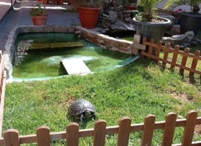 Casa Alberto * A Guarda